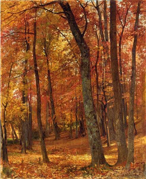 Forest Interior by William Trost Richards