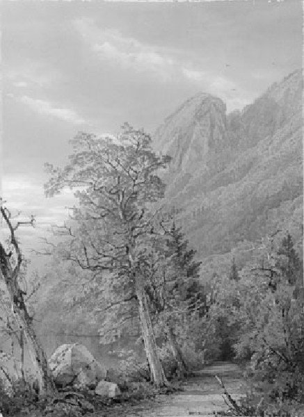 Eagle's Nest, Franconia Notch