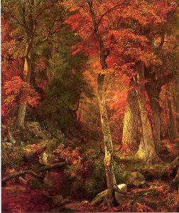 Forest Interior in Autumn